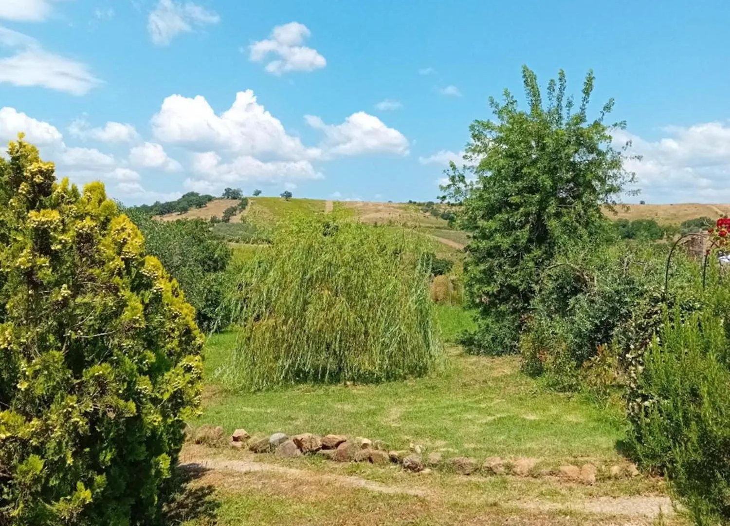 Borgo De' Muracci Ribolla Lantgård